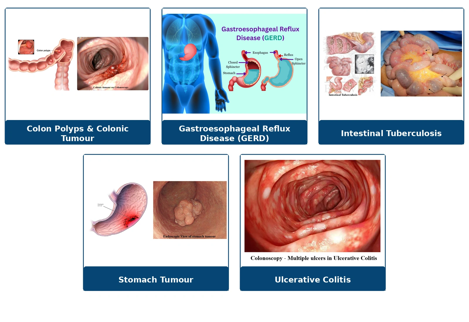 Surgical services